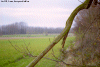 Bouvignies (101Ko)