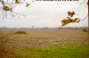 Bouvignies, vue depuis le nord (124Ko)