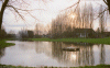 Bouvignies, grand étang