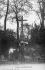 Ce calvaire existait dj au 16e sicle. D'aprs certains historiens, il aurait t construit sur un tumulus gaulois. 