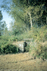 Sur le route Marchiennes-Vred (147Ko)