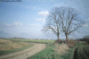 Bouvignies, rue Riche (72Ko)